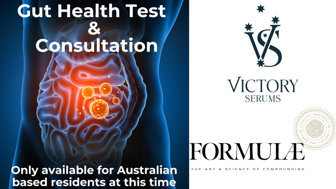 Gut Health Testing & Consultation Explained