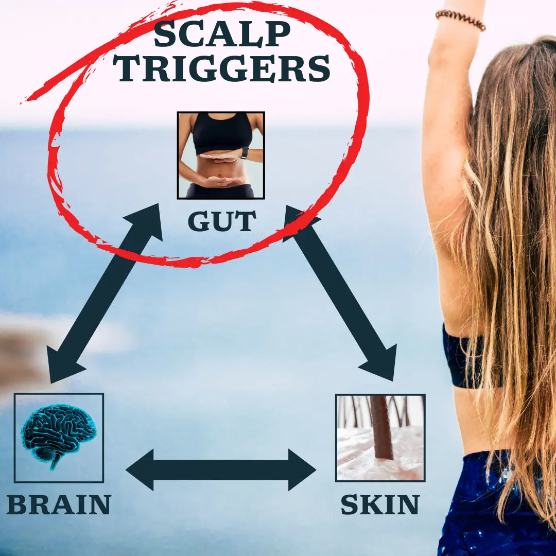 Gut Health and Scalp Stability - Victory Serums